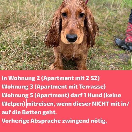 青斯特Haus Meerle公寓 外观 照片